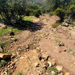 Was für ein Trail, für mich mit Gepäck nicht fahrbar