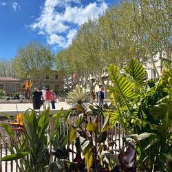 hier wird Petanque gespielt