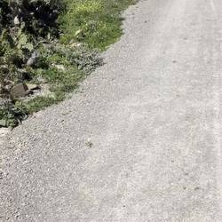 Kurz vor dem Restaurant beim Mittagessen nachdem schönen Radweg durch den Schatten