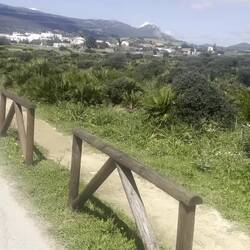 Wie schön grün es ist