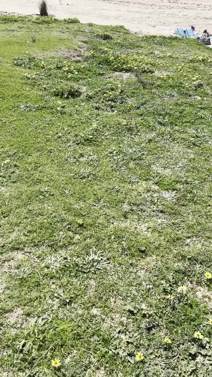 Blick beim Mittagessen, Vorstufe zum Paradies