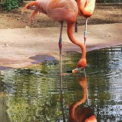 Die Zwei waren ja friedlich, aber der Rest der Bande stand schwer miteinander im Klinsch!