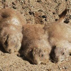 Sonnäää 😎☀️