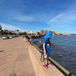Spotting fish along the promenade