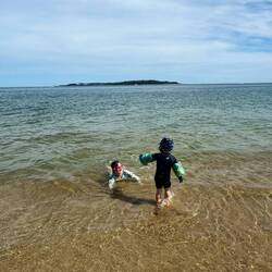 Frolicking in the sea