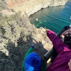 Spotting South American sea lions!