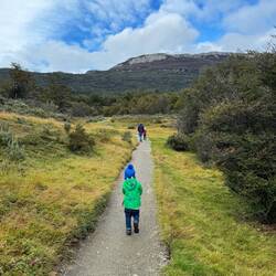 Pathway to Lapataia viewpoint