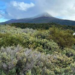 Looking towards Cerro Guanaco