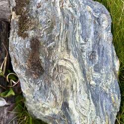 Foliated igneous rocks