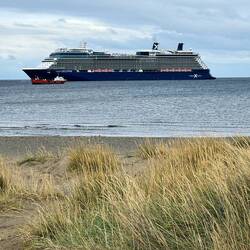 Tendered offshore from Punta Arenas