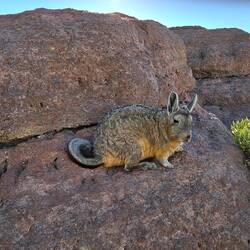Auch der Osterhase war da.