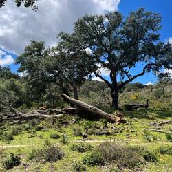 Wenig später geht's abseits vom Autoverkehr aufwärts,..