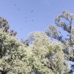 Reges Treiben in der Luft.