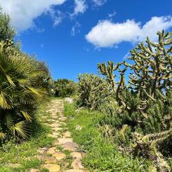 .. um nicht zu sagen steil aufwärts..