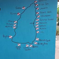 A lot of diving spots, here