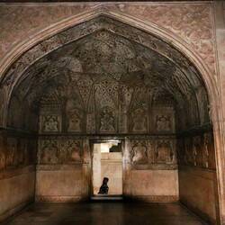 Elaborately Carved Walls and Ceiling of Agra Fort