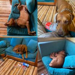 So ein verrückter toller Vogel 🤪😂