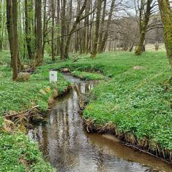 Immer wieder diese kleinen Grenzbäche!