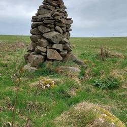 Fast zwei Meter hoch, stand einfach so rum!