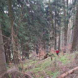 Viel, viel steiler als man denkt!