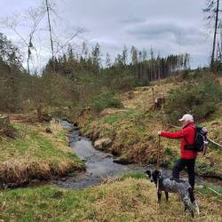 Tolle Bäche in geschundener Landschaft!