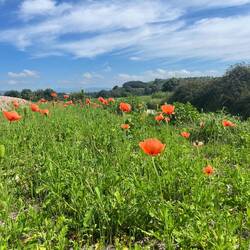..von seiner schönen und..