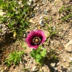 ..und zeigt sich wieder..