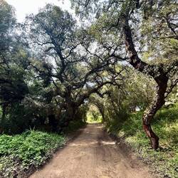 Der Weg wird nach und nach trockener..