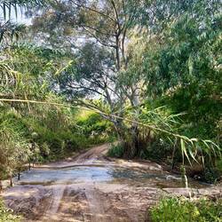 ..Wasserläufen entkommen und erspare mir so das durchwaten.