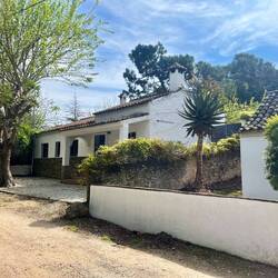 Kurz vor Jimena de la Frontera..