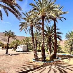 CP Palmeraia bei Rachid