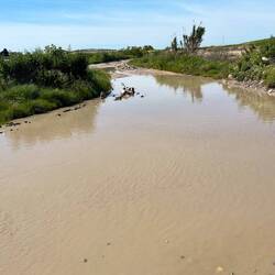 Meine heikle Stelle mit viel Wasser. Wollte nicht durchfahren