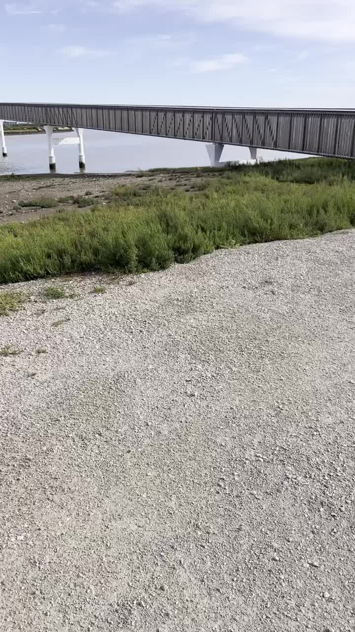 Radwegbrücke in den Salzfeldern