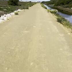 Radpsiet EV 8 durch den Vogelschutzpark