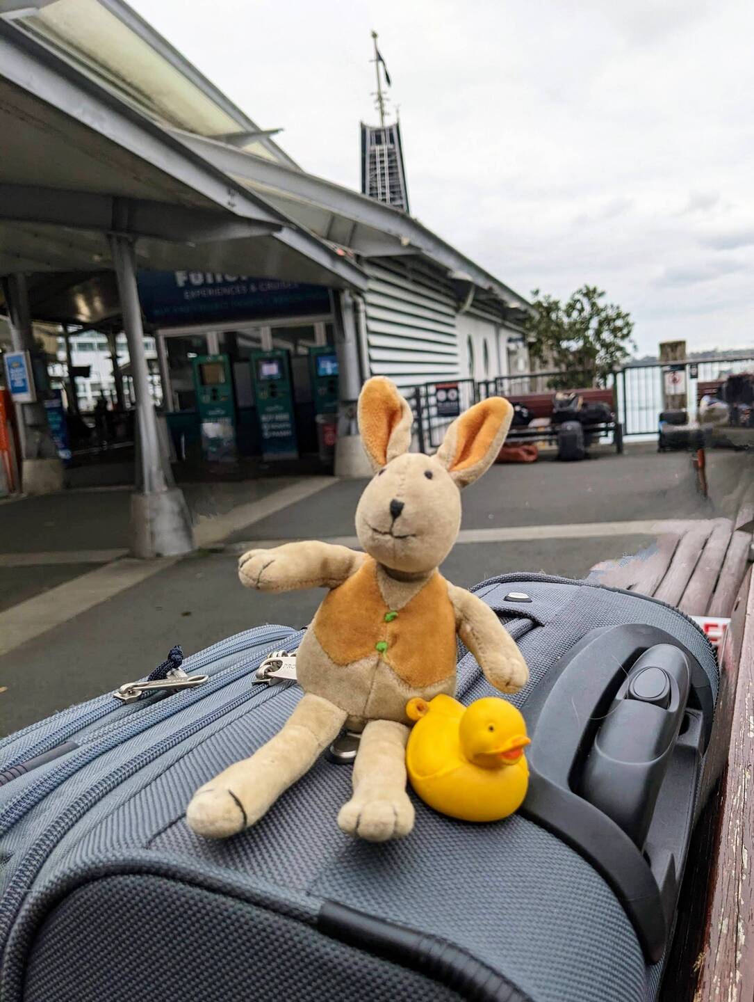 Mr. Bunny and Duckie