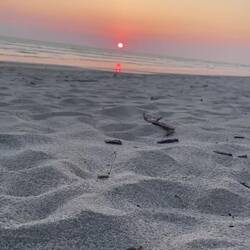 Sunneundergang wieder 10/10