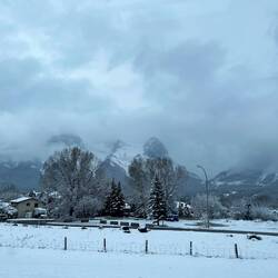 Snowy landscape from the car