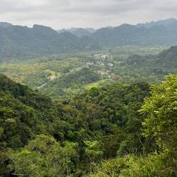 Cat Ba Dschungelwanderung im Nationalpark