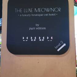 Für die Katzenliebhaber