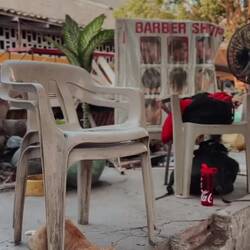 Vasco Barber under the tree