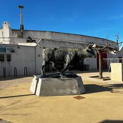 Stierkampfarena