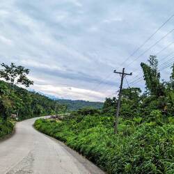 Weiter geht's durch den Regenwald