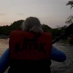 Common Pauraque sound in background