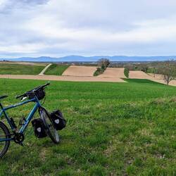 Schopper taking in the views as I cool off on a bench.