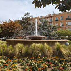 Der einzig aktive Springbrunnen (Wasserknappheit)