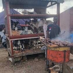 Etwas Pervers, ob die wissen was ihnen blüht