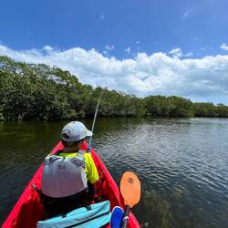 Angeln im Mangrovenwald