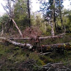 Das IST der "Weg" 🫣😬😀