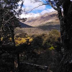 Die Schneefallgrenze ist über Nacht wieder gesunken