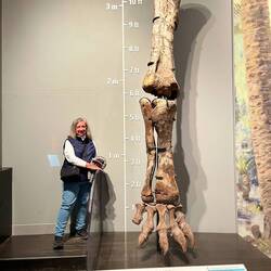 I measure up?